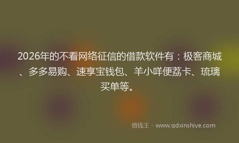 2026年的不看网络征信的借款软件有：极客商城、多多易购、速享宝钱包、羊小咩便荔卡、琉璃买单等。