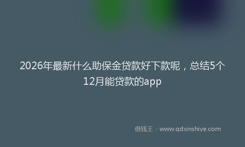 2026年最新什么助保金贷款好下款呢，总结5个12月能贷款的app