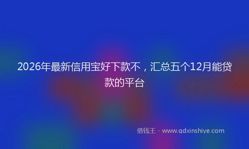 2026年最新信用宝好下款不，汇总五个12月能贷款的平台