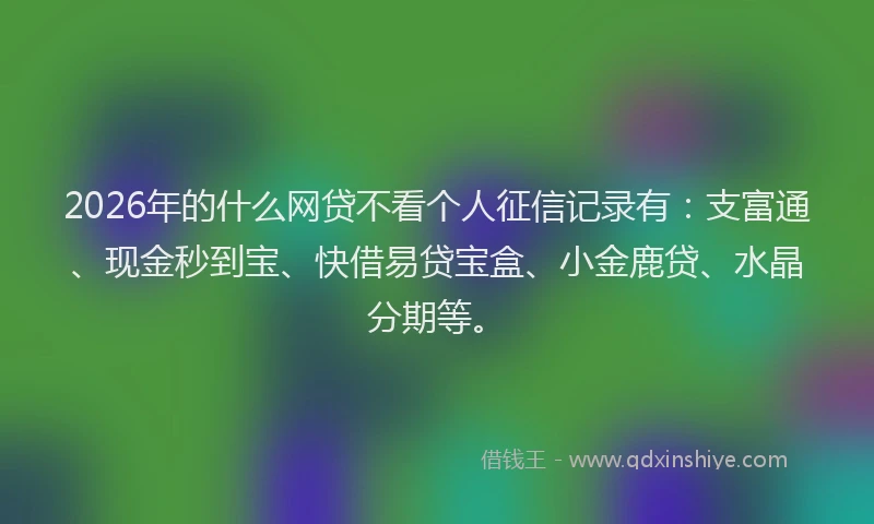2026年的什么网贷不看个人征信记录有：支富通、现金秒到宝、快借易贷宝盒、小金鹿贷、水晶分期等。