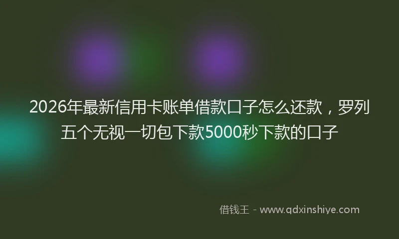 2026年最新信用卡账单借款口子怎么还款，罗列五个无视一切包下款5000秒下款的口子