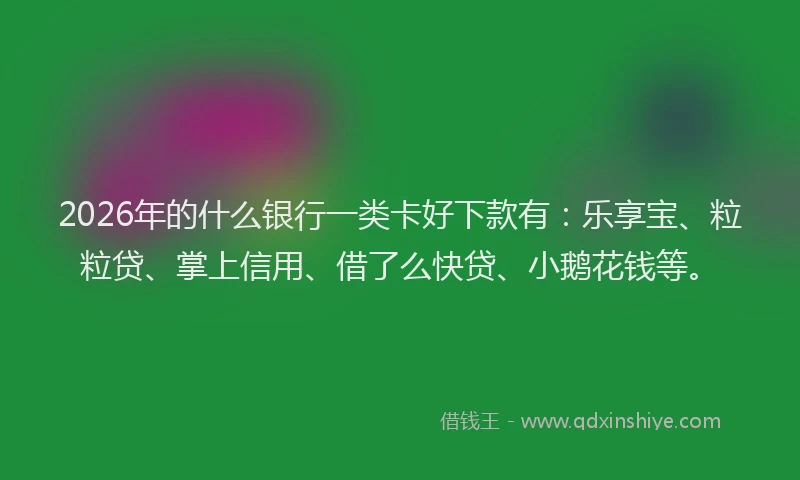 2026年的什么银行一类卡好下款有:乐享宝、粒粒贷、掌上信用、借了么快贷、小鹅花钱等。