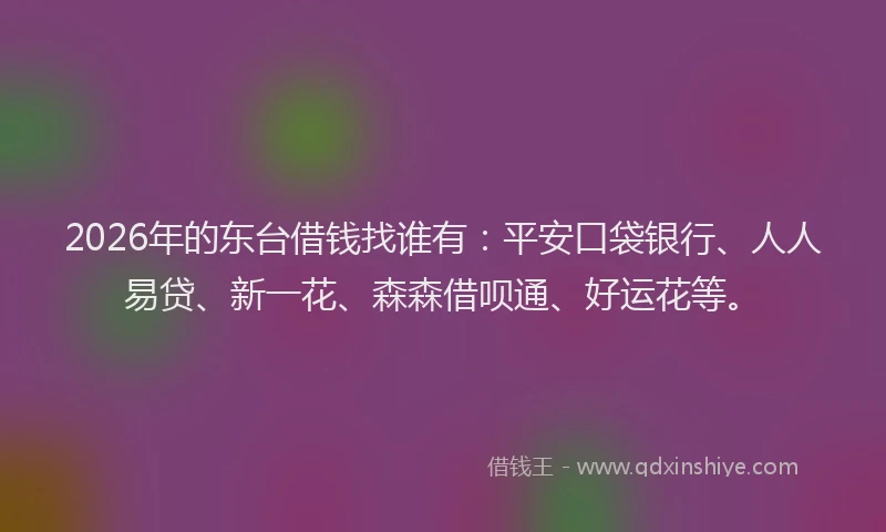 2026年的东台借钱找谁有：平安口袋银行、人人易贷、新一花、森森借呗通、好运花等。