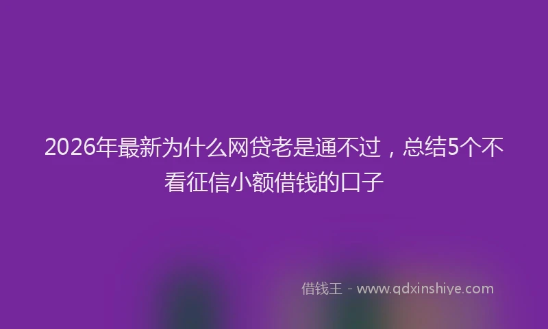 2026年最新为什么网贷老是通不过，总结5个不看征信小额借钱的口子