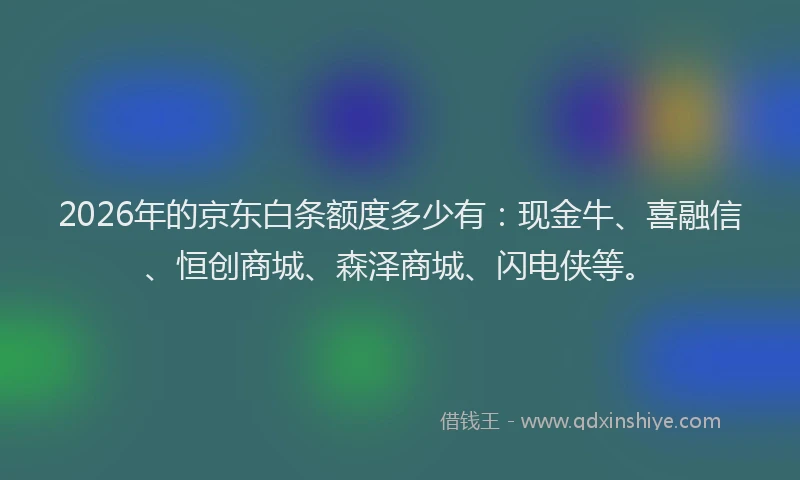 2026年的京东白条额度多少有:现金牛、喜融信、恒创商城、森泽商城、闪电侠等。