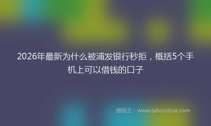 2026年最新为什么被浦发银行秒拒，概括5个手机上可以借钱的口子