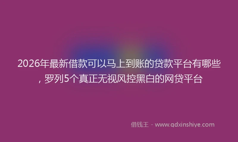 2026年最新借款可以马上到账的贷款平台有哪些，罗列5个真正无视风控黑白的网贷平台