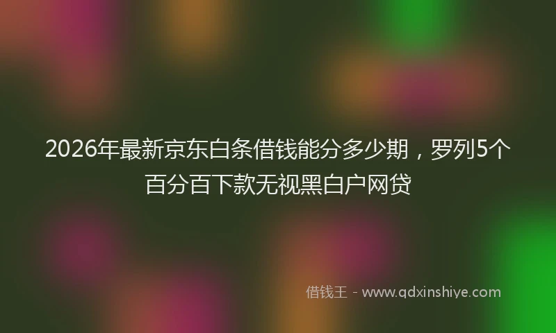 2026年最新京东白条借钱能分多少期,罗列5个百分百下款无视黑白户网贷