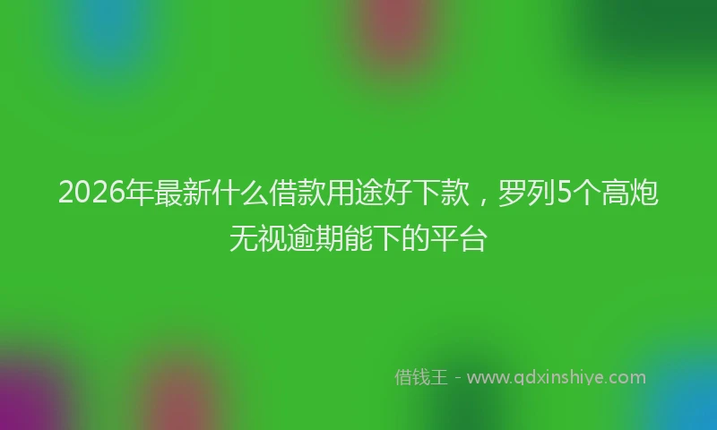2026年最新什么借款用途好下款，罗列5个高炮无视逾期能下的平台