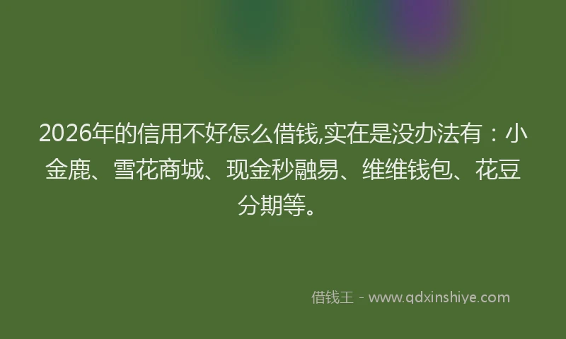 2026年的信用不好怎么借钱,实在是没办法有：小金鹿、雪花商城、现金秒融易、维维钱包、花豆分期等。