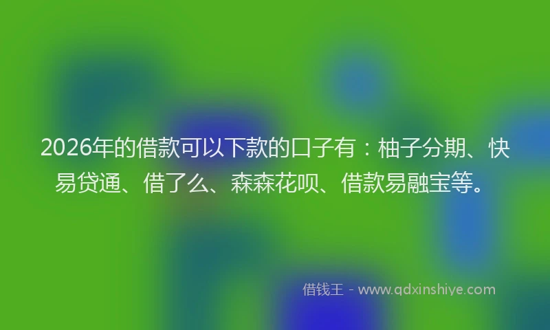 2026年的借款可以下款的口子有：柚子分期、快易贷通、借了么、森森花呗、借款易融宝等。
