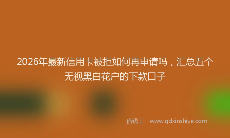 2026年最新信用卡被拒如何再申请吗,汇总五个无视黑白花户的下款口子