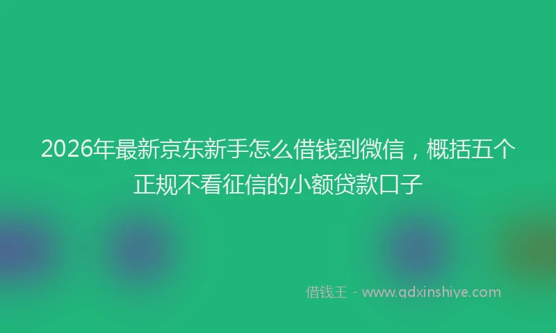 2026年最新京东新手怎么借钱到微信，概括五个正规不看征信的小额贷款口子