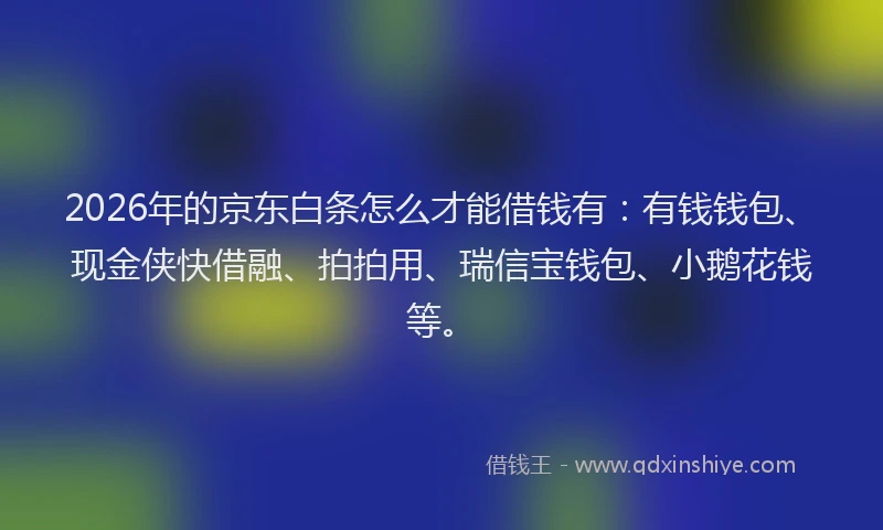 2026年的京东白条怎么才能借钱有:有钱钱包、现金侠快借融、拍拍用、瑞信宝钱包、小鹅花钱等。