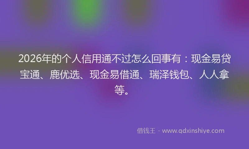 2026年的个人信用通不过怎么回事有：现金易贷宝通、鹿优选、现金易借通、瑞泽钱包、人人拿等。
