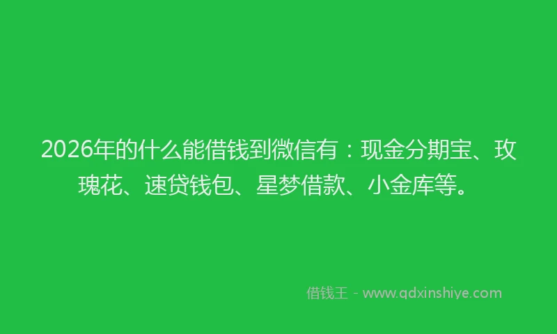 2026年的什么能借钱到微信有:现金分期宝、玫瑰花、速贷钱包、星梦借款、小金库等。