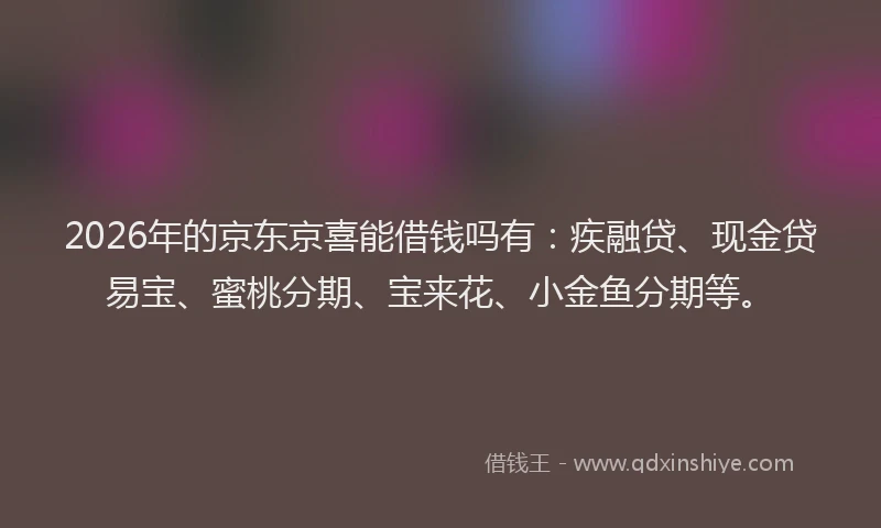 2026年的京东京喜能借钱吗有:疾融贷、现金贷易宝、蜜桃分期、宝来花、小金鱼分期等。