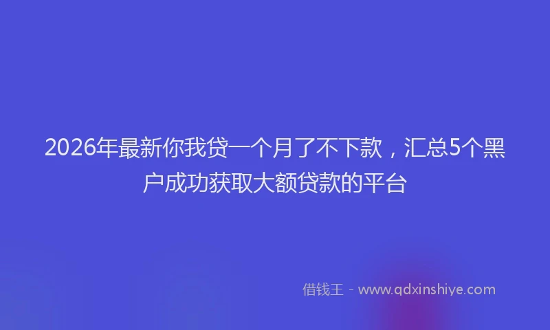 2026年最新你我贷一个月了不下款，汇总5个黑户成功获取大额贷款的平台