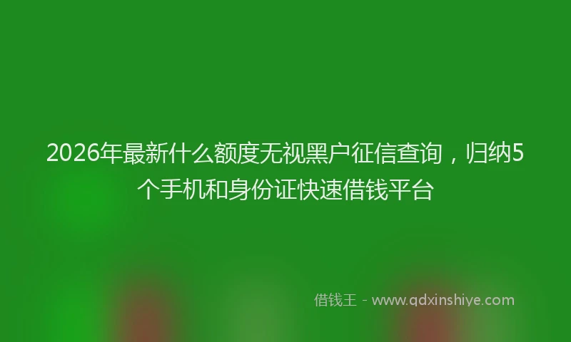 2026年最新什么额度无视黑户征信查询，归纳5个手机和身份证快速借钱平台
