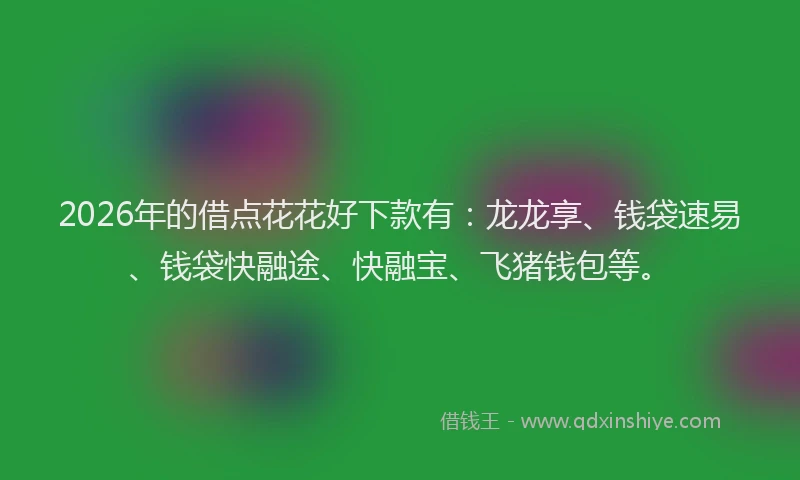 2026年的借点花花好下款有:龙龙享、钱袋速易、钱袋快融途、快融宝、飞猪钱包等。