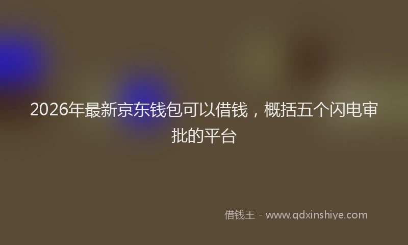 2026年最新京东钱包可以借钱，概括五个闪电审批的平台