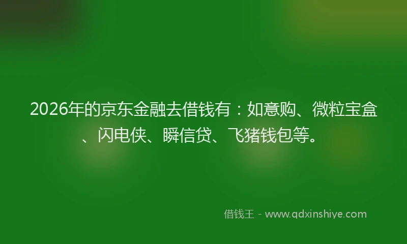 2026年的京东金融去借钱有：如意购、微粒宝盒、闪电侠、瞬信贷、飞猪钱包等。