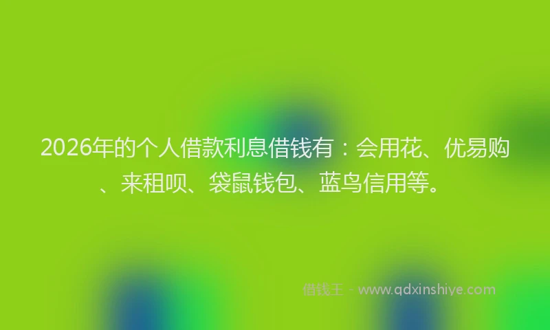 2026年的个人借款利息借钱有：会用花、优易购、来租呗、袋鼠钱包、蓝鸟信用等。