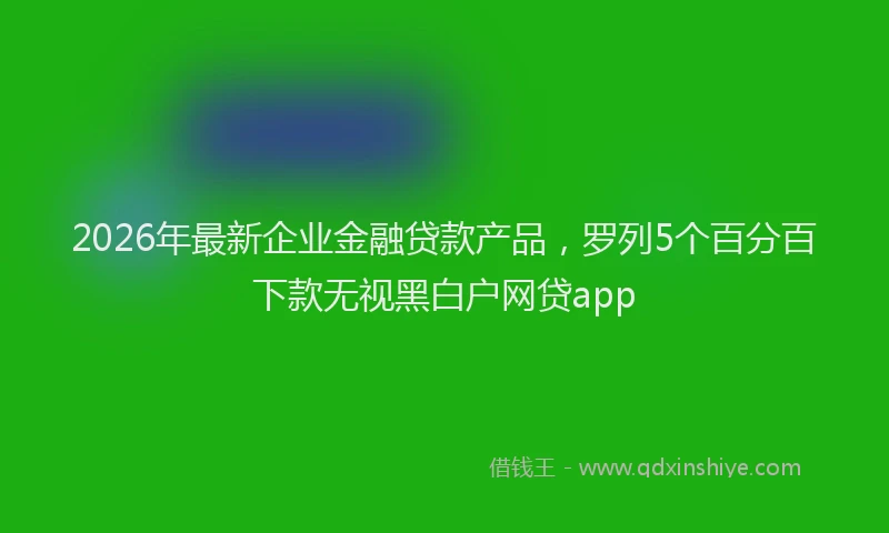 2026年最新企业金融贷款产品,罗列5个百分百下款无视黑白户网贷app