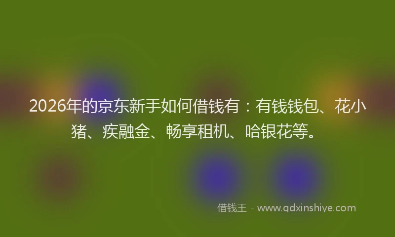 2026年的京东新手如何借钱有:有钱钱包、花小猪、疾融金、畅享租机、哈银花等。