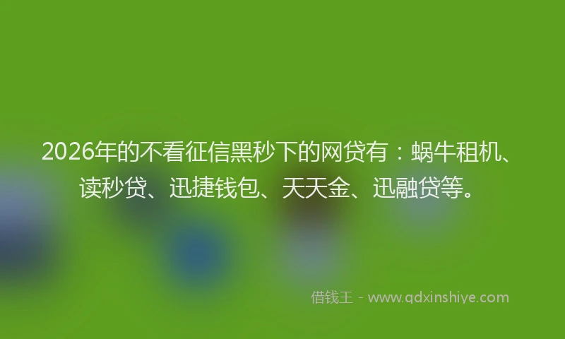 2026年的不看征信黑秒下的网贷有：蜗牛租机、读秒贷、迅捷钱包、天天金、迅融贷等。