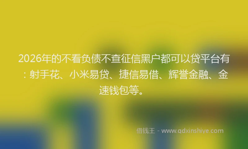 2026年的不看负债不查征信黑户都可以贷平台有：射手花、小米易贷、捷信易借、辉誉金融、金速钱包等。
