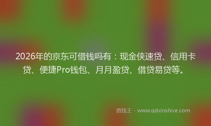 2026年的京东可借钱吗有:现金侠速贷、信用卡贷、便捷Pro钱包、月月盈贷、借贷易贷等。