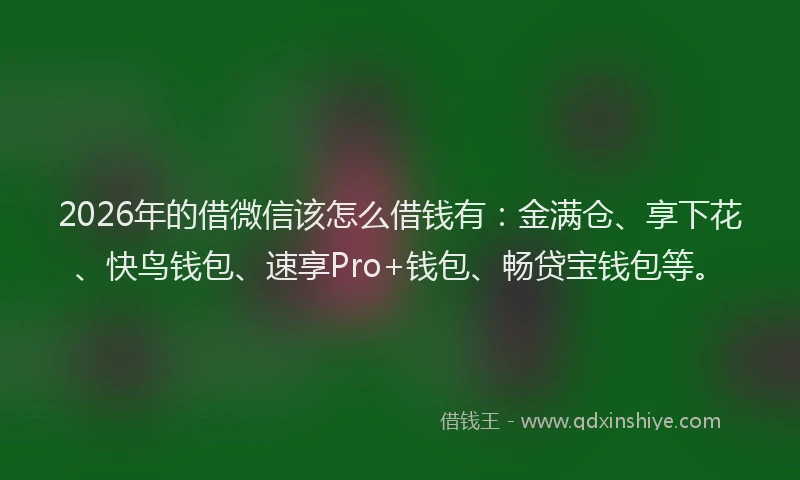 2026年的借微信该怎么借钱有:金满仓、享下花、快鸟钱包、速享Pro+钱包、畅贷宝钱包等。