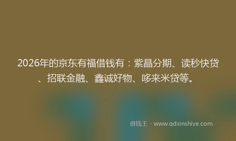2026年的京东有福借钱有:紫晶分期、读秒快贷、招联金融、鑫诚好物、哆来米贷等。