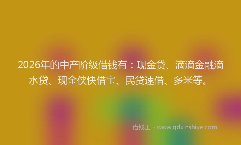 2026年的中产阶级借钱有:现金贷、滴滴金融滴水贷、现金侠快借宝、民贷速借、多米等。