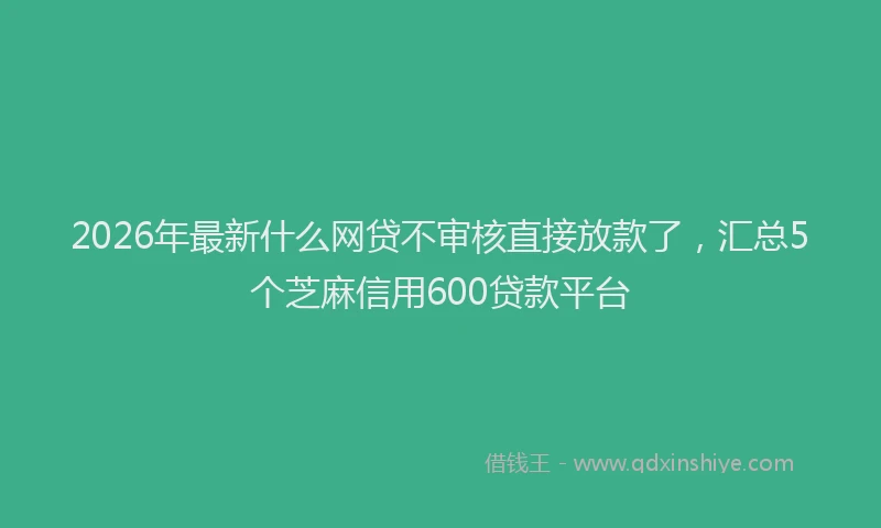 2026年最新什么网贷不审核直接放款了,汇总5个芝麻信用600贷款平台