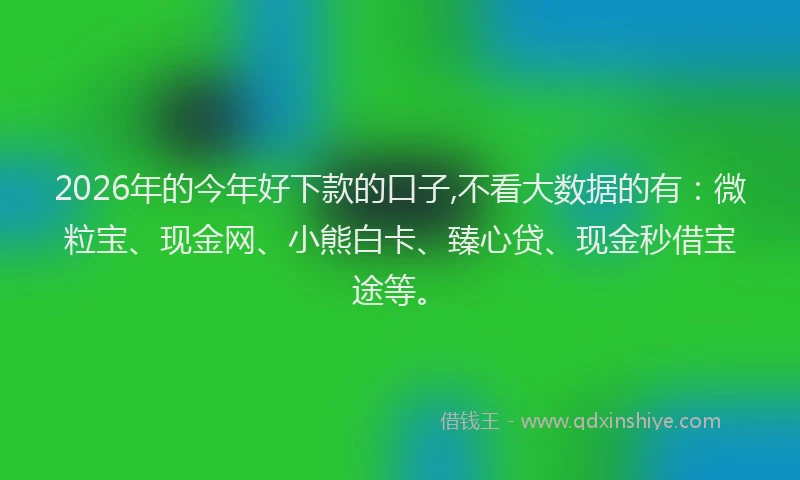 2026年的今年好下款的口子,不看大数据的有:微粒宝、现金网、小熊白卡、臻心贷、现金秒借宝途等。