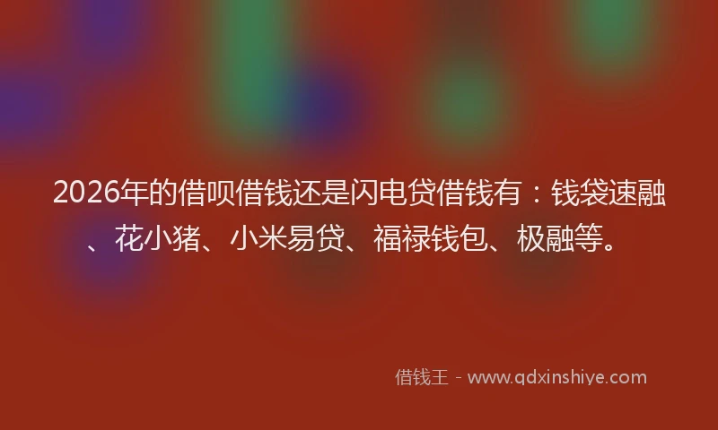 2026年的借呗借钱还是闪电贷借钱有：钱袋速融、花小猪、小米易贷、福禄钱包、极融等。