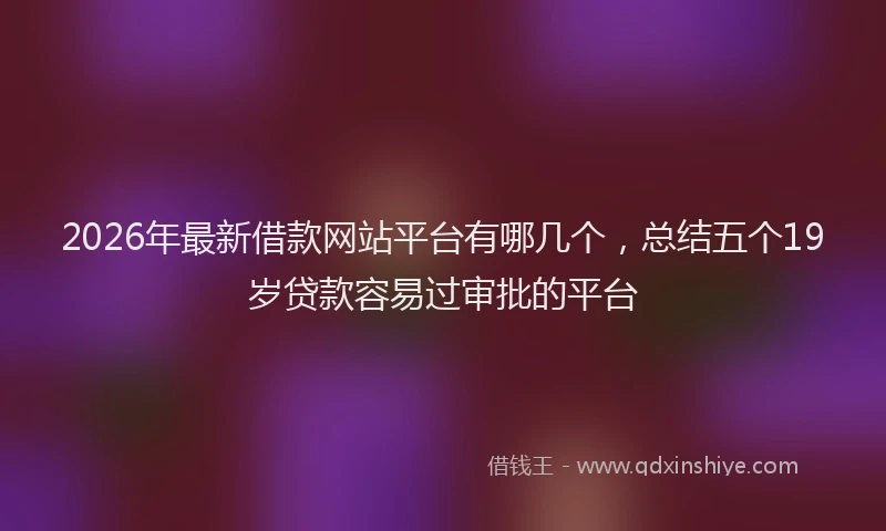 2026年最新借款网站平台有哪几个，总结五个19岁贷款容易过审批的平台