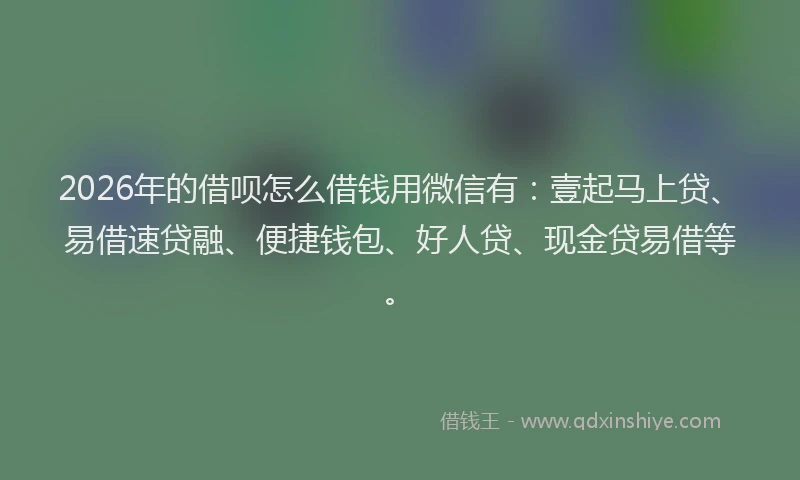 2026年的借呗怎么借钱用微信有：壹起马上贷、易借速贷融、便捷钱包、好人贷、现金贷易借等。