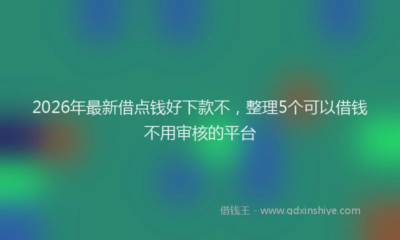 2026年最新借点钱好下款不，整理5个可以借钱不用审核的平台