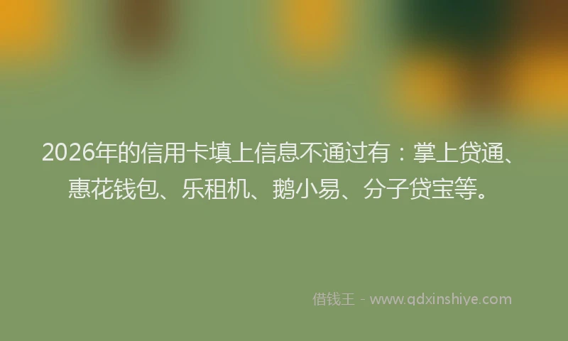 2026年的信用卡填上信息不通过有：掌上贷通、惠花钱包、乐租机、鹅小易、分子贷宝等。