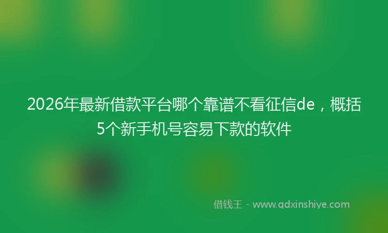 2026年最新借款平台哪个靠谱不看征信de，概括5个新手机号容易下款的软件