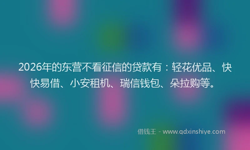 2026年的东营不看征信的贷款有：轻花优品、快快易借、小安租机、瑞信钱包、朵拉购等。