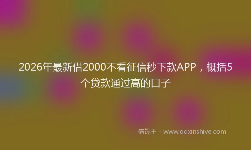 2026年最新借2000不看征信秒下款APP，概括5个贷款通过高的口子