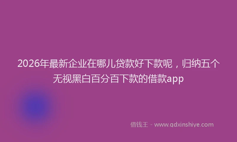 2026年最新企业在哪儿贷款好下款呢，归纳五个无视黑白百分百下款的借款app
