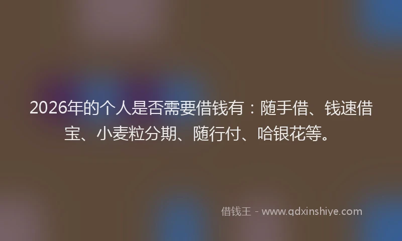 2026年的个人是否需要借钱有:随手借、钱速借宝、小麦粒分期、随行付、哈银花等。