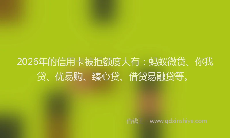 2026年的信用卡被拒额度大有：蚂蚁微贷、你我贷、优易购、臻心贷、借贷易融贷等。