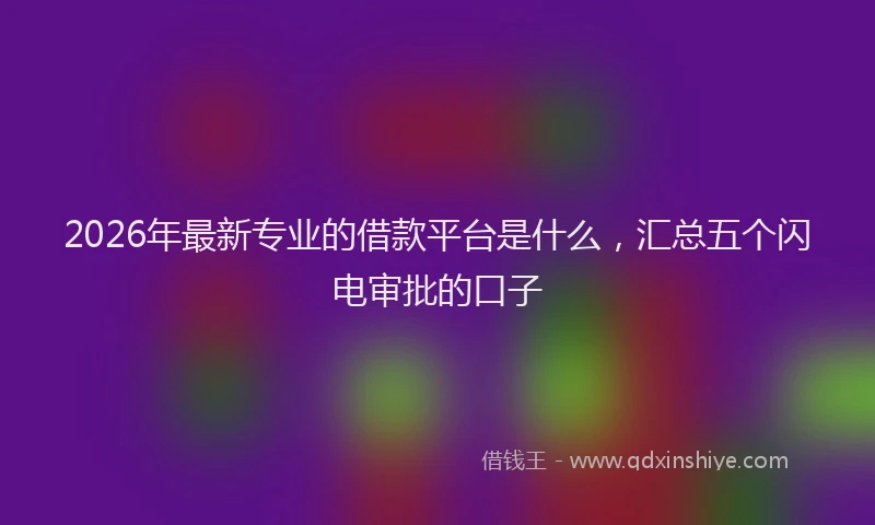 2026年最新专业的借款平台是什么,汇总五个闪电审批的口子