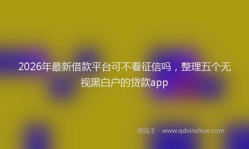2026年最新借款平台可不看征信吗，整理五个无视黑白户的贷款app